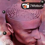 Фотовыставка \"Мир вокруг нас\"